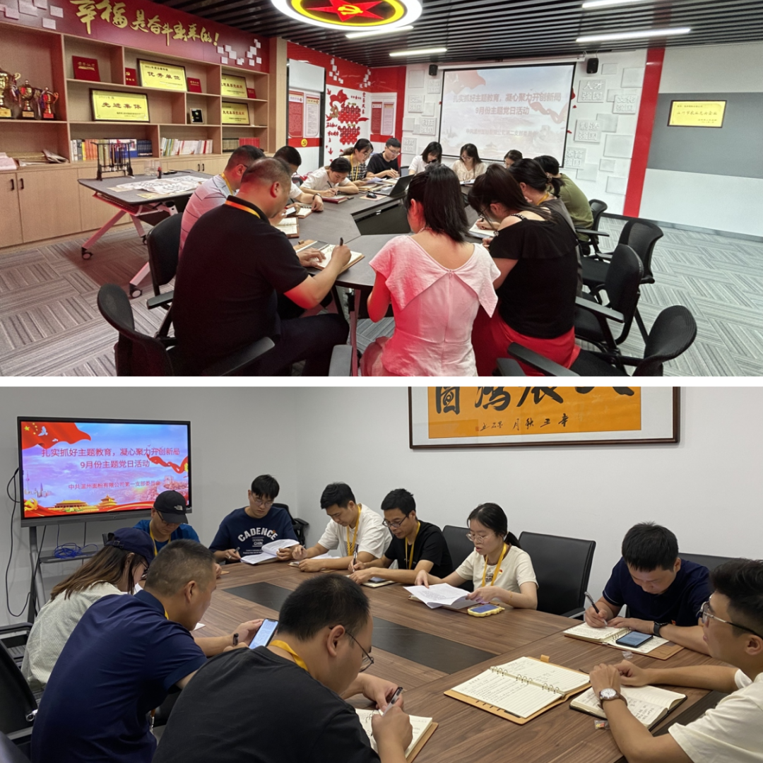 扎實(shí)抓好主題教育，凝心聚力開創(chuàng)新局丨面粉公司開展9月份主題黨日活動(dòng)